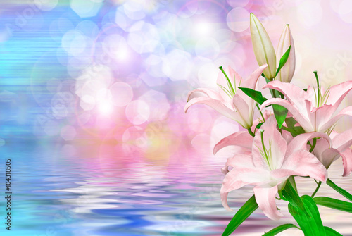 Close up of pink lilies