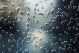 Water Drops Texture
