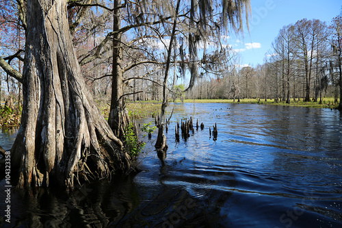 Wasserwelten in Florida