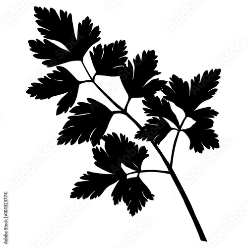 parsley silhouette