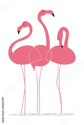 Naklejka na ścianę Różowi flamingi na białym tle