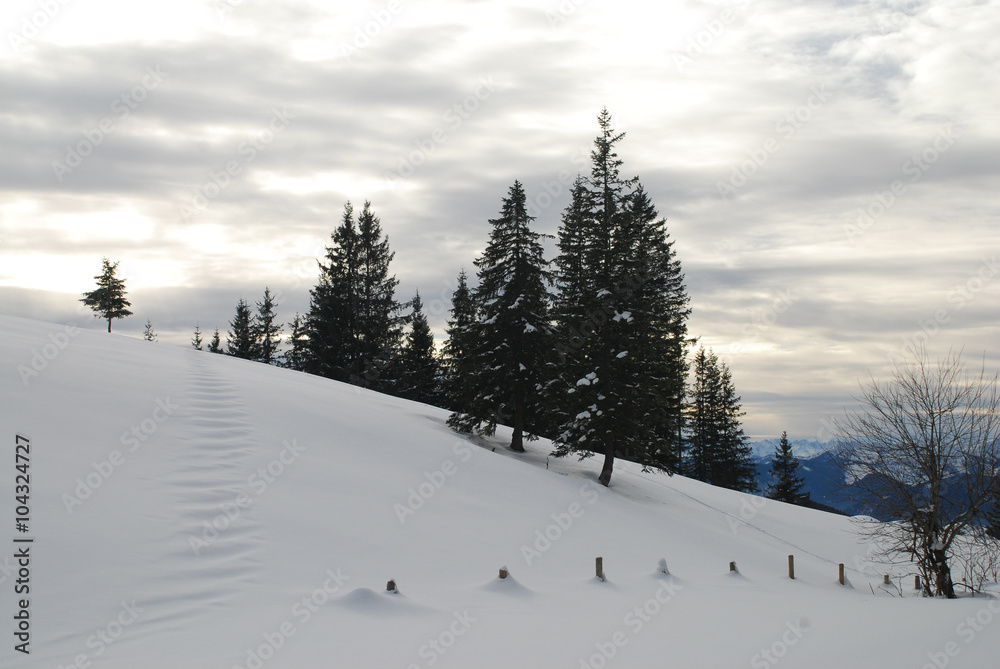 Fototapeta premium Spuren im Schnee