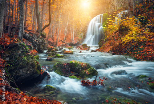 Fototapeta Naklejka Na Ścianę i Meble -  Beautiful waterfall at mountain river in colorful autumn forest with red and orange leaves at sunset. Nature landscape
