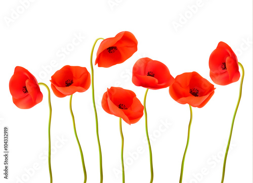 Fototapeta Naklejka Na Ścianę i Meble -  Nature background with red poppies. Vector.