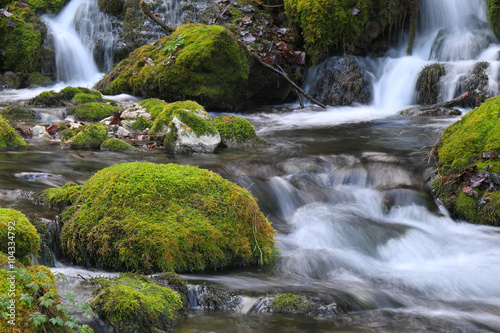 Mountain stream among the mossy stones
