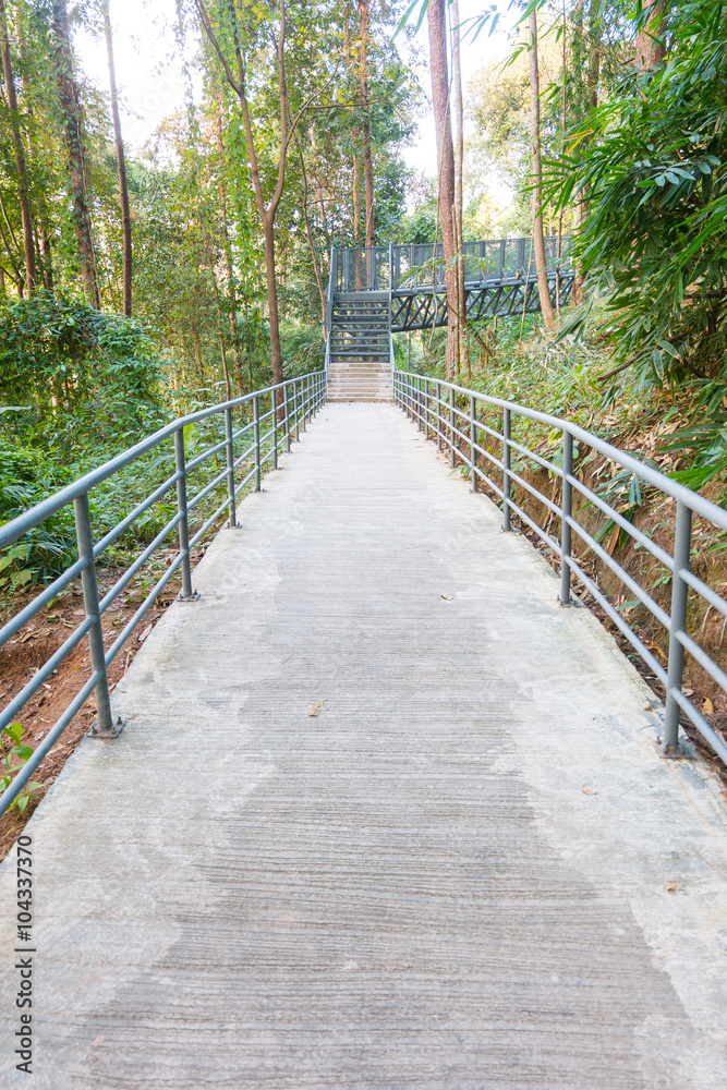 Metal staircase with handrails leading down the canopy walkway,c