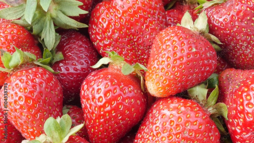 Red tasty strawberry fruit background slow tilting 4K 2160p UltraHD footage - Fragaria ananassa slow tilt on red fresh fruit pieces 4K 3840X2160 UHD video Red tasty strawberry fruit background slow tilting 4K 2160p UltraHD footage - Fragaria ananassa slow tilt on red fresh fruit pieces 4K 3840X2160 UHD video