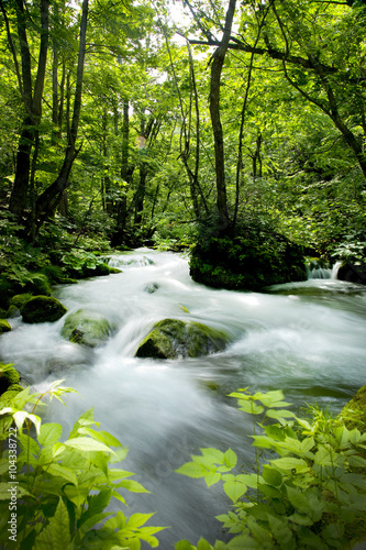 青森県 奥入瀬渓流 新緑と紅葉の時期がきれいな、日本が誇る渓流です。