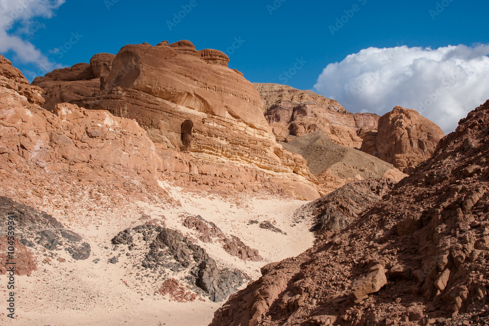 Rock in the wilderness