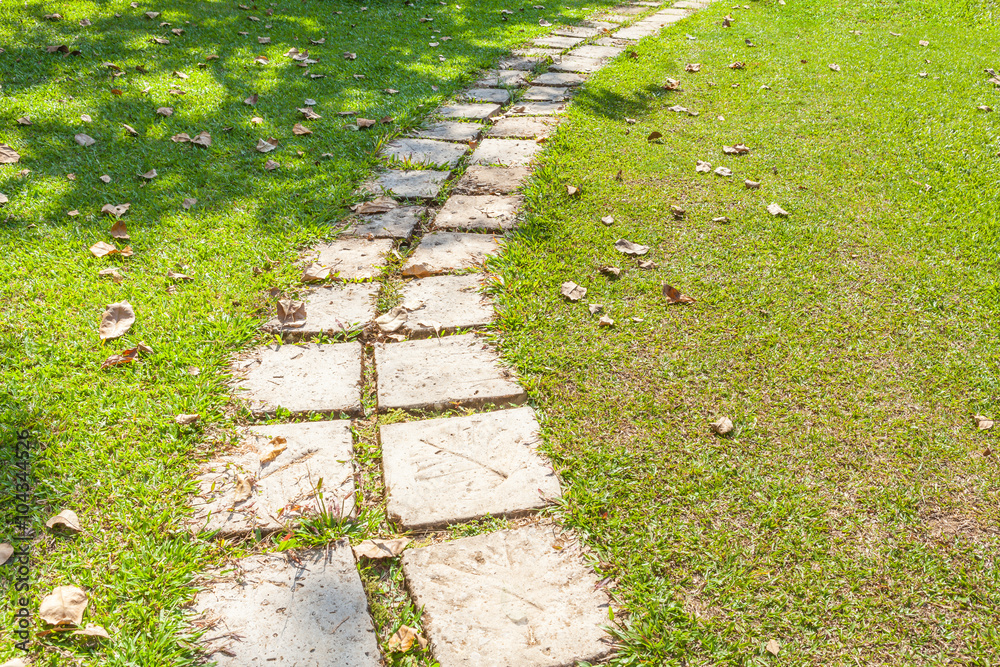 Stone pathway