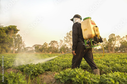 Farmer spraying pesticide during sunset time