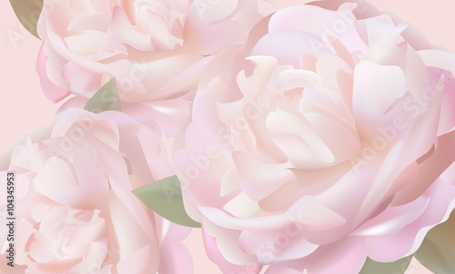 Flower background with peonies and petals © Premium_art