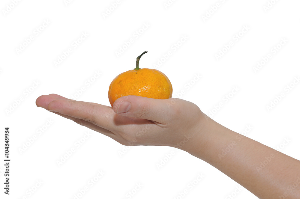 Middle woman hand holding Chinese orange in hand isolated on whi Middle woman hand holding Chinese orange in hand isolated on whi