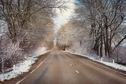 Road behind the beautiful tree