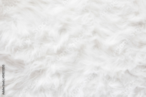 De-focused Sheep wool fur background texture wallpaper.