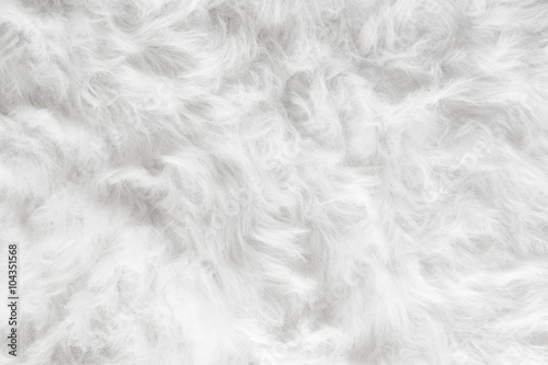 Sheep wool fur background texture wallpaper.