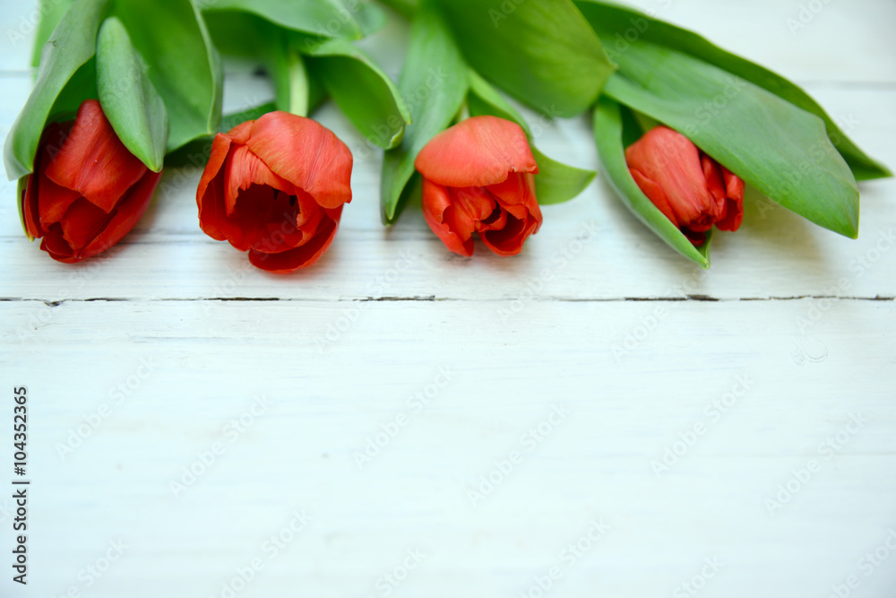 Tulips red green fresh spring flowers Tulips red green fresh spring flowers
