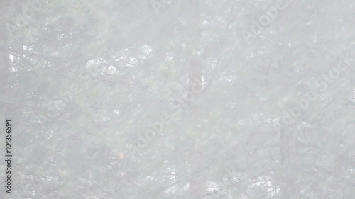 Winter landscape on the mountain in slow motion, Slow Motion Video Clip