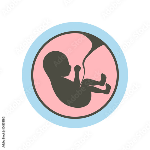 Baby in womb icon