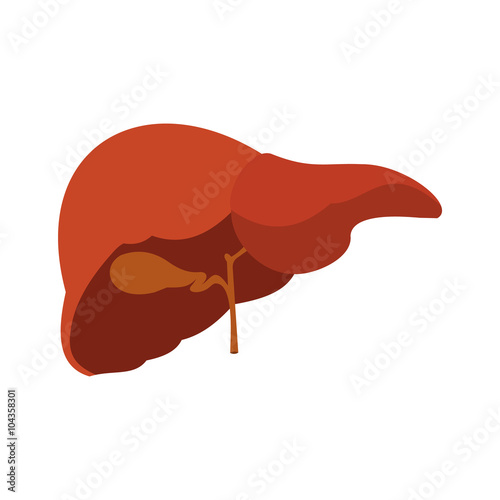 Human liver icon