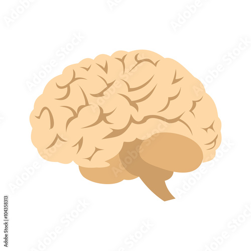 Human brain icon