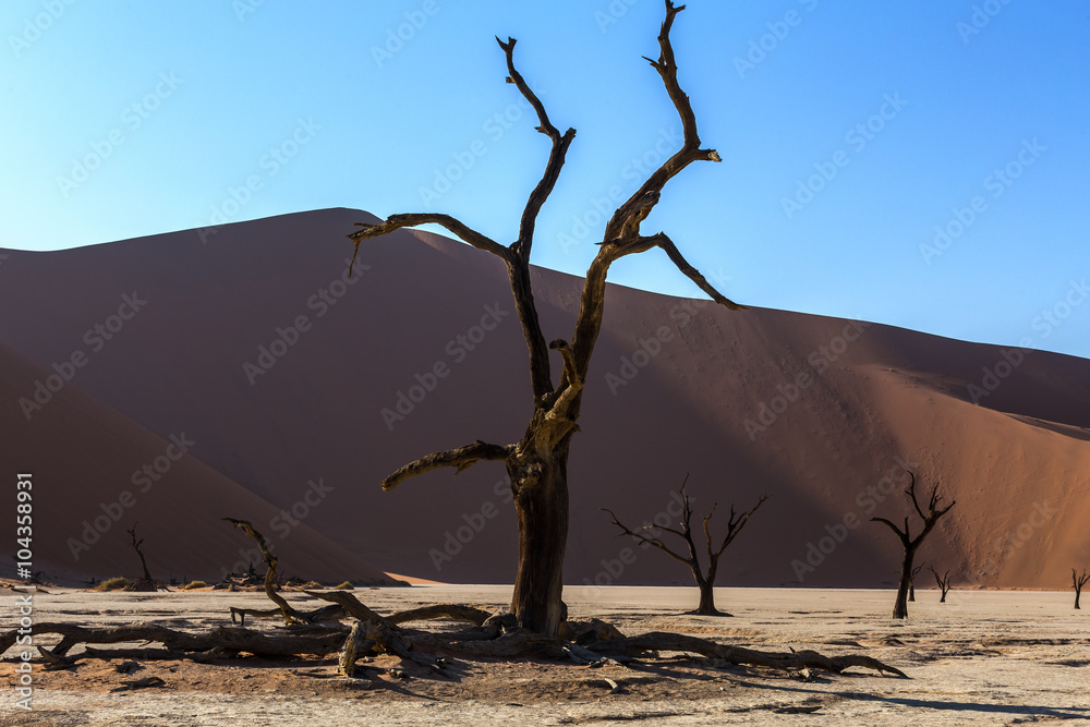 Hidden Vlei in Namib desert