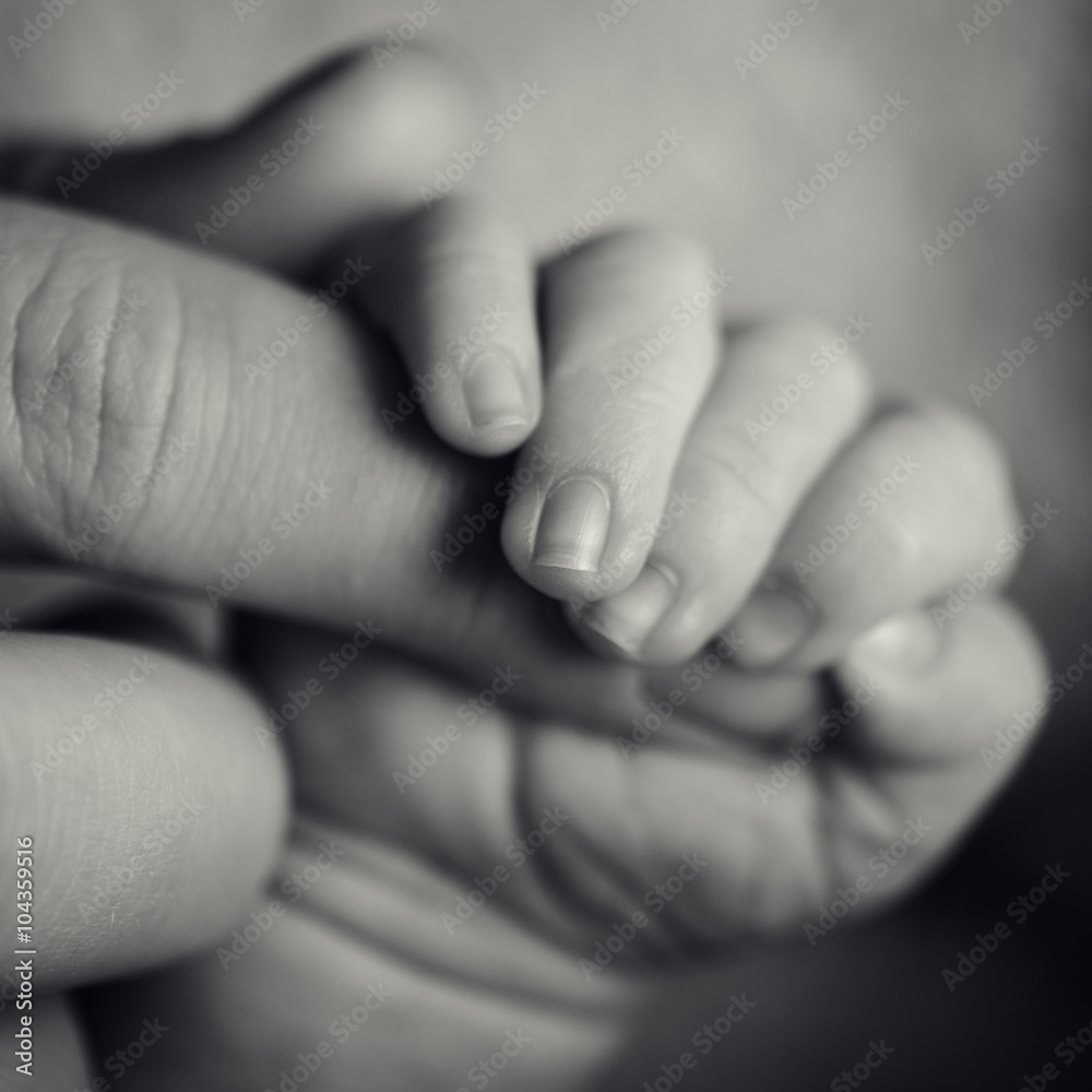 hand little boy hand little boy