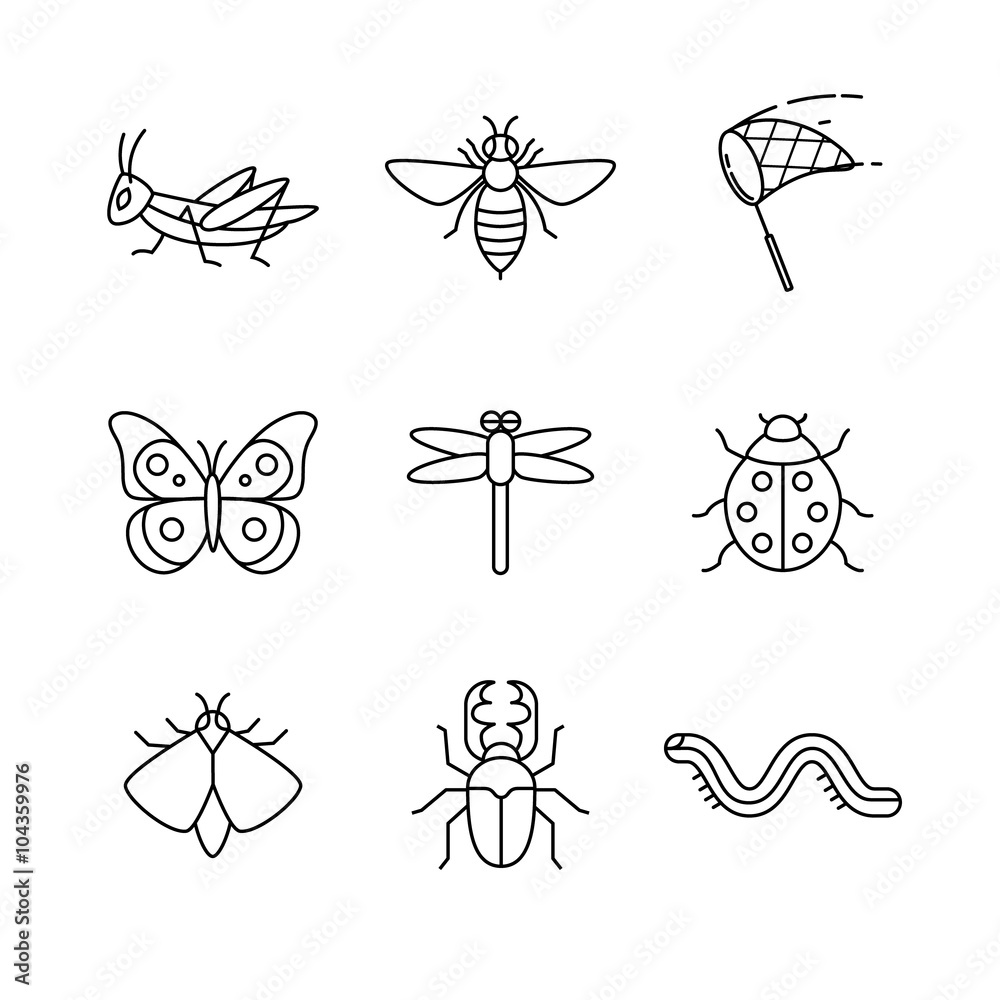 Insects thin line art icons set Insects thin line art icons set