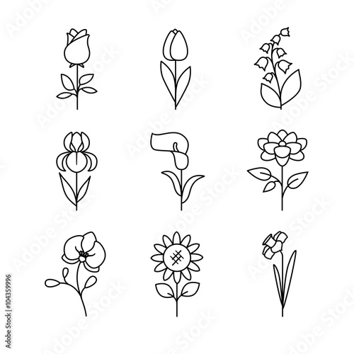 Popular wedding flowers blossoming