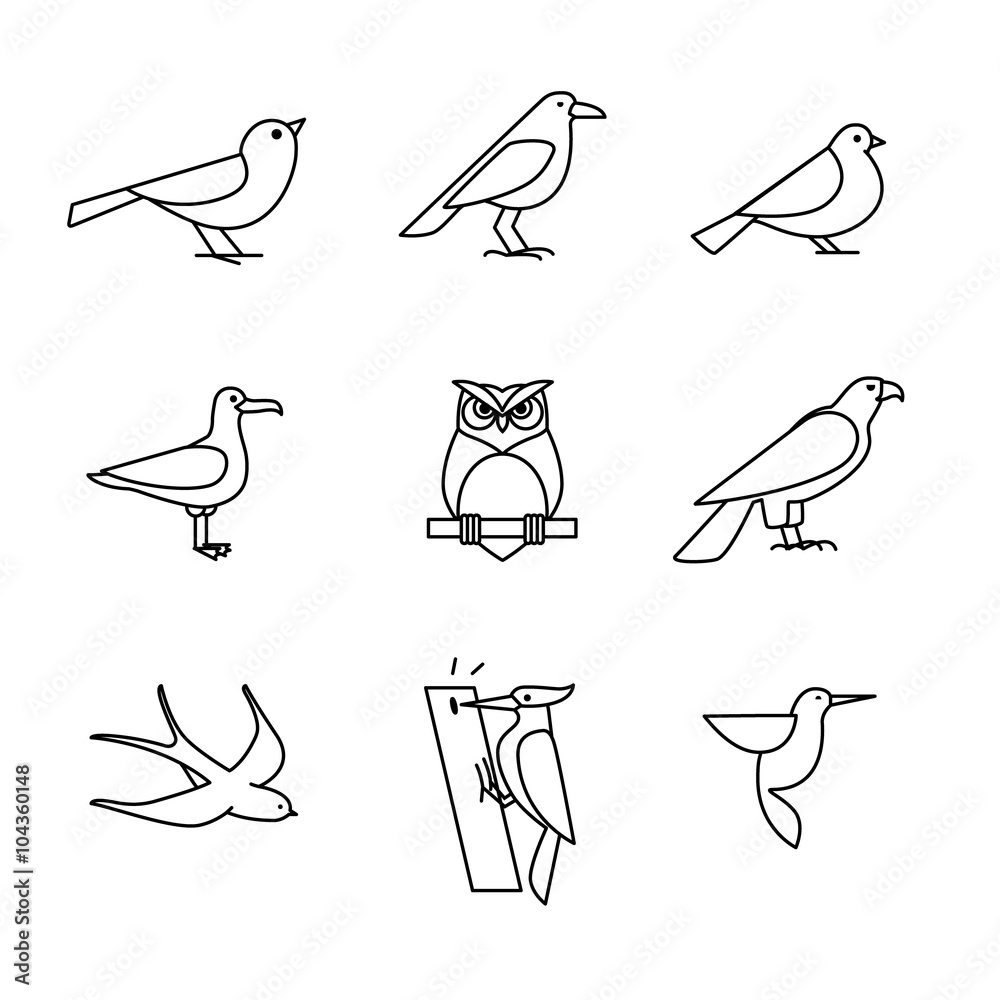 Obraz premium Zestaw ikon cienka linia ptaków