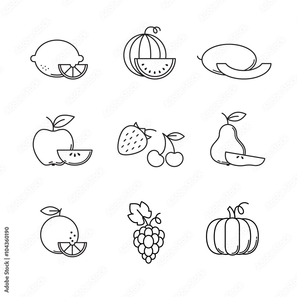 Εκτύπωση καμβά Fruit icons thin line art set
