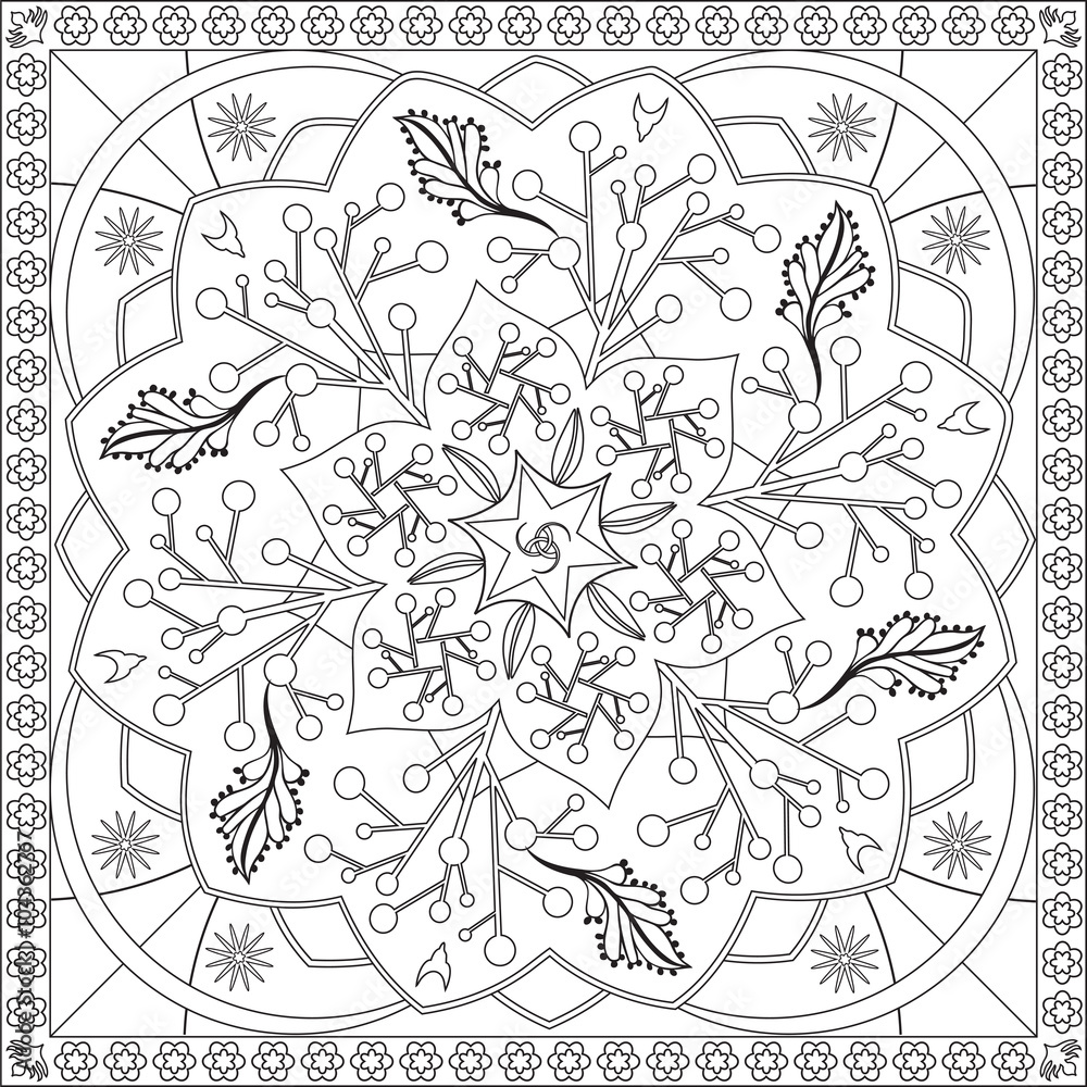 Page Coloriage pour Adultes Livre Design Motif Floral Mandala Vecteur Illustration 