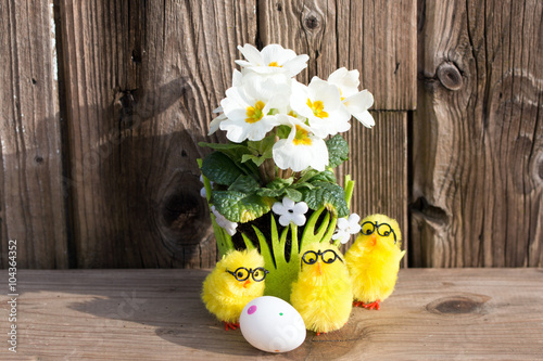 Frohe Ostern mit lustigen Küken mit Brille photo