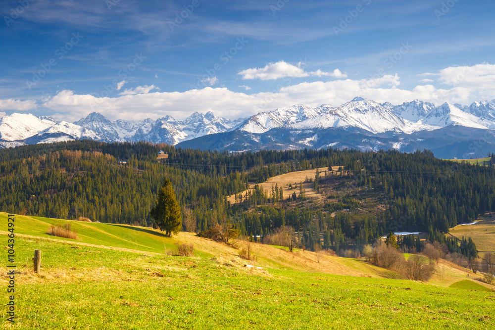 Panorama of the High Tatra Mountains, Gliczarow, Poland