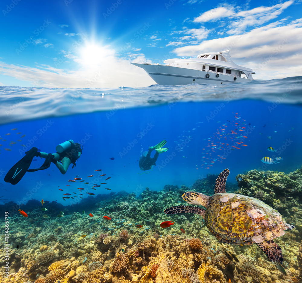 Obraz premium Podwodna rafa koralowa z płetwonurkami