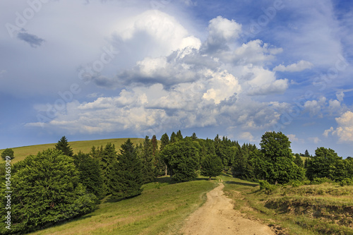 Landscape with empty forest road through the meadow 