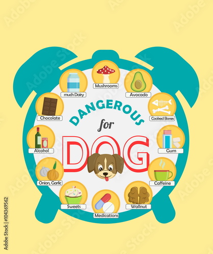 Infographic poster about food and snacks that are dangerous for your dog and may cause intoxication. A set of icons including avocado, mushroom, dairy, coffee, etc.