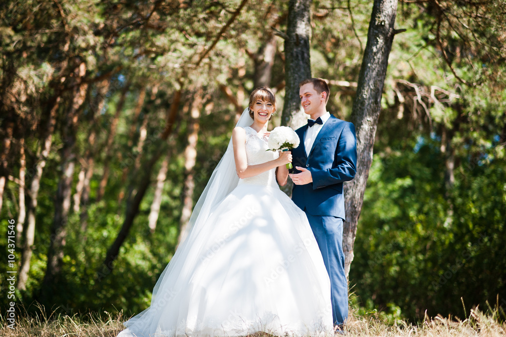 Lovely wedding couple at sunny day on pine wood forest