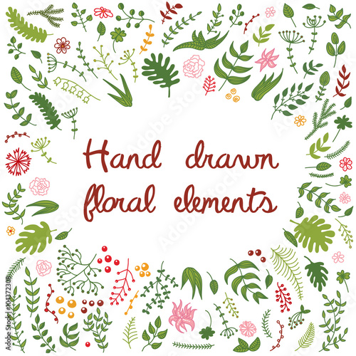 Vector set of hand drawn floral elements - flowers, branches, leaves.
