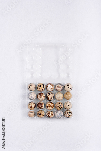 Quail eggs in a plastic stand
