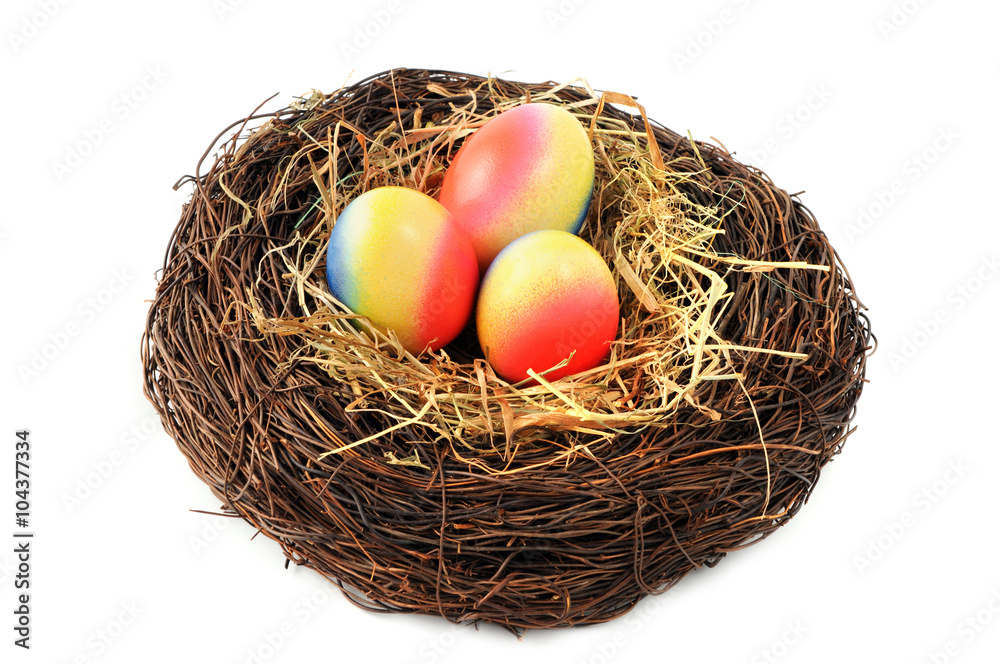 Obraz premium Easter eggs in nest