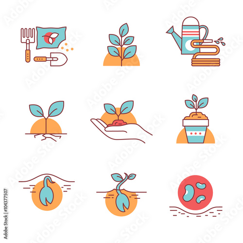 Sprouting seeds and home gardening