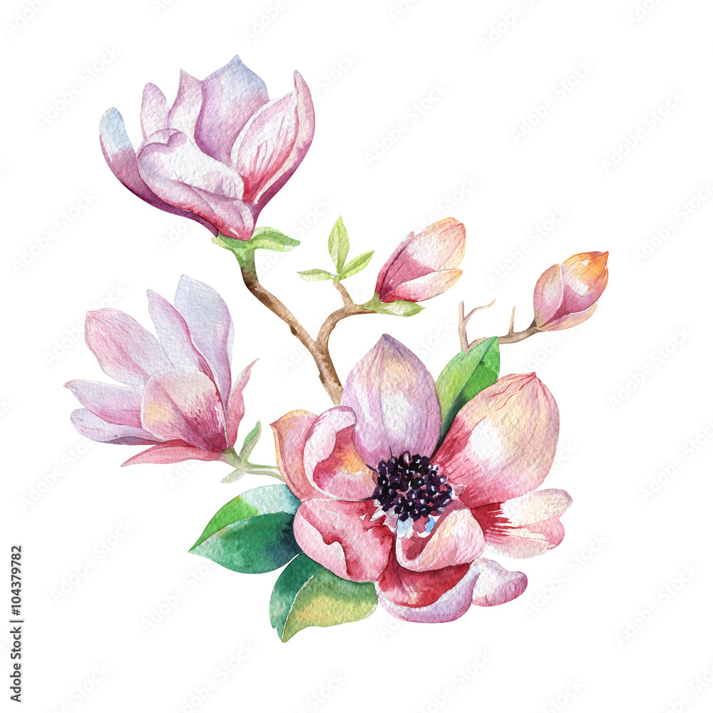 Fototapeta premium Painting Magnolia flower wallpaper. Hand drawn Watercolor floral