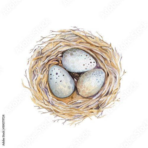 Fototapeta Naklejka Na Ścianę i Meble -   Hand drawn watercolor art bird nest with eggs , easter design. 