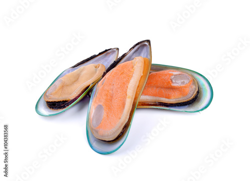 New Zealand green mussels on white background