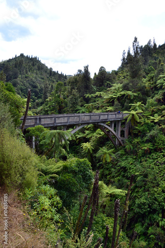 Canvastavla Bush Trail - Bridge to Nowhere