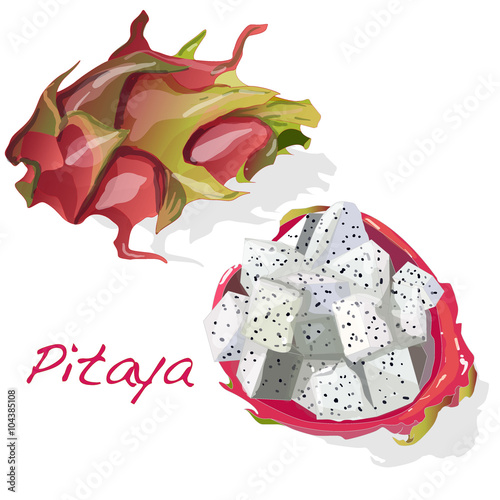 Pitaya or Dragon Fruit. Vector