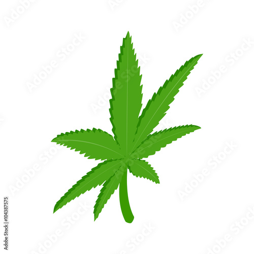 Marijuana leaf icon, isometric 3d style