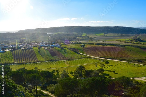 The town of Obidos