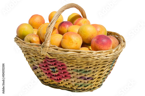 apricot in basket isolated on white background